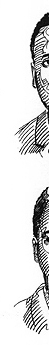 line illustration