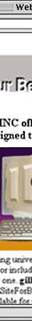 web site design for gill inc
