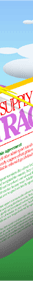 branding design