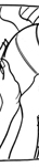 storyboard illustration