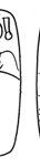 storyboard illustration