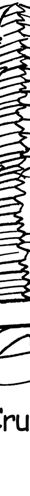 captioned cartoon illustration