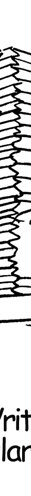 captioned cartoon illustration