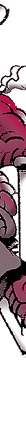 spot color illustration