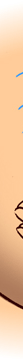 spot color illustration