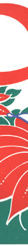 flat color illustration for national wildlife federation
