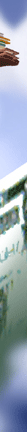 gradated color illustration for american chemical society
