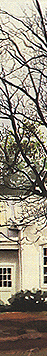 line and gradated color illustration for vienna va