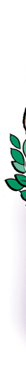 line and gradated color illustration for american chemical society