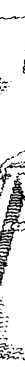 line illustration