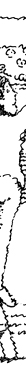 line illustration
