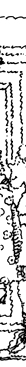 line illustration