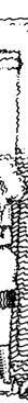 line illustration
