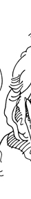 line illustration